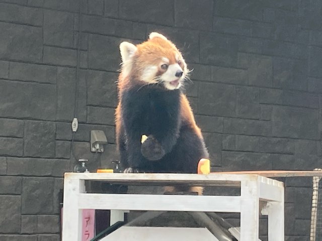 레판다 하마마쓰 시립 동물원