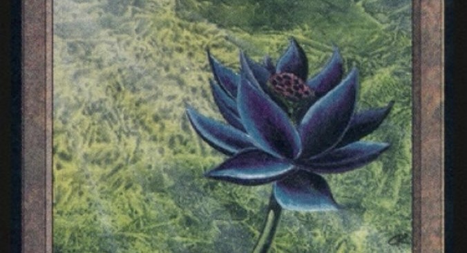 Buy Black Lotus